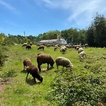 Wild Glamping Portugal Com Jacuzzi Privado Serra De Arga, *