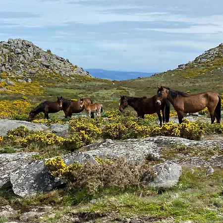 Wild Glamping Portugal Com Jacuzzi Privado Serra De Arga, Viana do Castelo