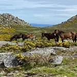 Wild Glamping Portugal Com Jacuzzi Privado Serra De Arga, Viana do Castelo