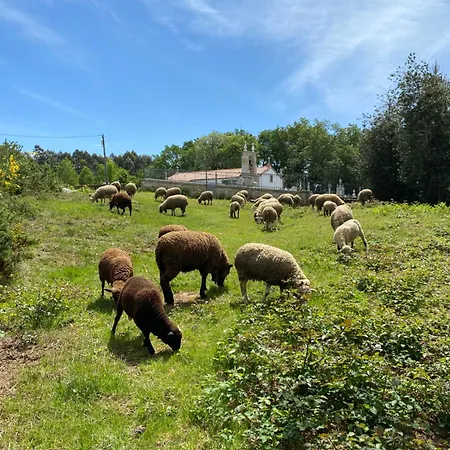 Wild Glamping Portugal Com Jacuzzi Privado Serra De Arga, *
