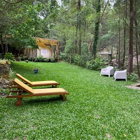 Wild Glamping Portugal - Relax By Serra De Arga Waterfalls In With Hot Tub Luksusowy namiot