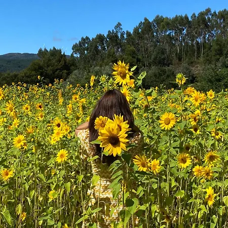 Wild Glamping Portugal - Relax By Serra De Arga Waterfalls In With Hot Tub Campo de lujo Viana do Castelo