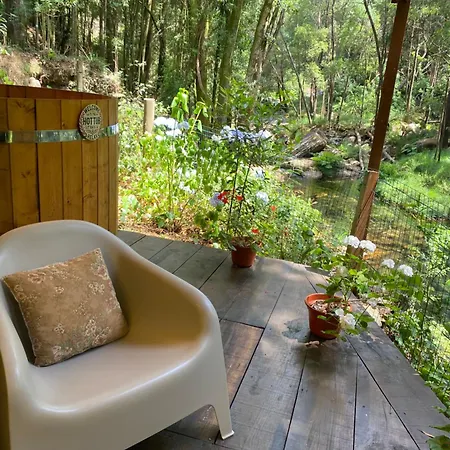 Wild Glamping Portugal Com Jacuzzi Privado Serra De Arga, * Viana do Castelo