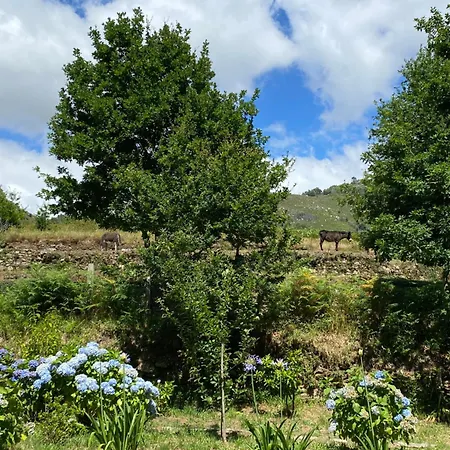 Luxussátor Wild Glamping Portugal Com Jacuzzi Privado Serra De Arga,