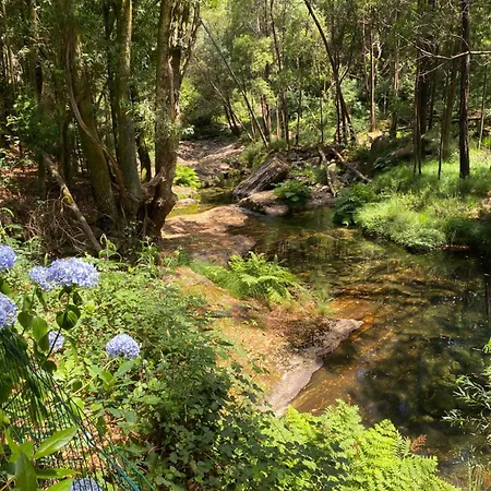Wild Glamping Portugal Com Jacuzzi Privado Serra De Arga, Viana do Castelo