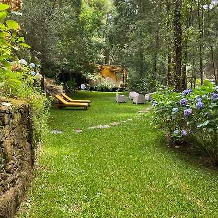 Wild Glamping Portugal Com Jacuzzi Privado Serra De Arga,