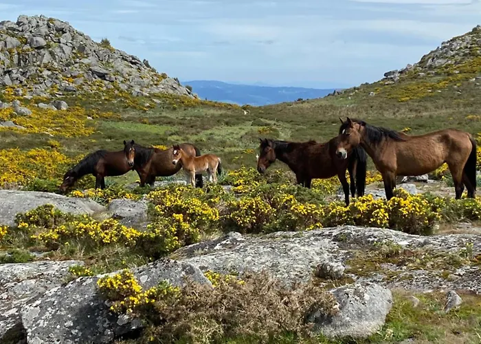 Wild Glamping Portugal Com Jacuzzi Privado Relax By Serra De Arga Waterfalls, Viana do Castelo