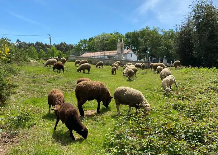 Wild Glamping Portugal Com Jacuzzi Privado Relax By Serra De Arga Waterfalls, *
