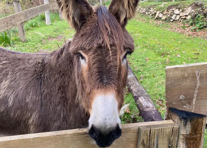 Wild Glamping Portugal Com Jacuzzi Privado Relax By Serra De Arga Waterfalls,