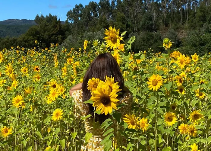 Wild Glamping Portugal Com Jacuzzi Privado Relax By Serra De Arga Waterfalls, Lüks kamp alanı Viana do Castelo